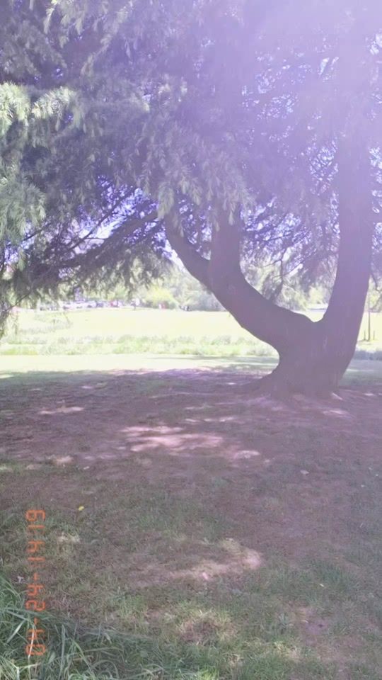 TikTok video thumbnail by zara_.g.786