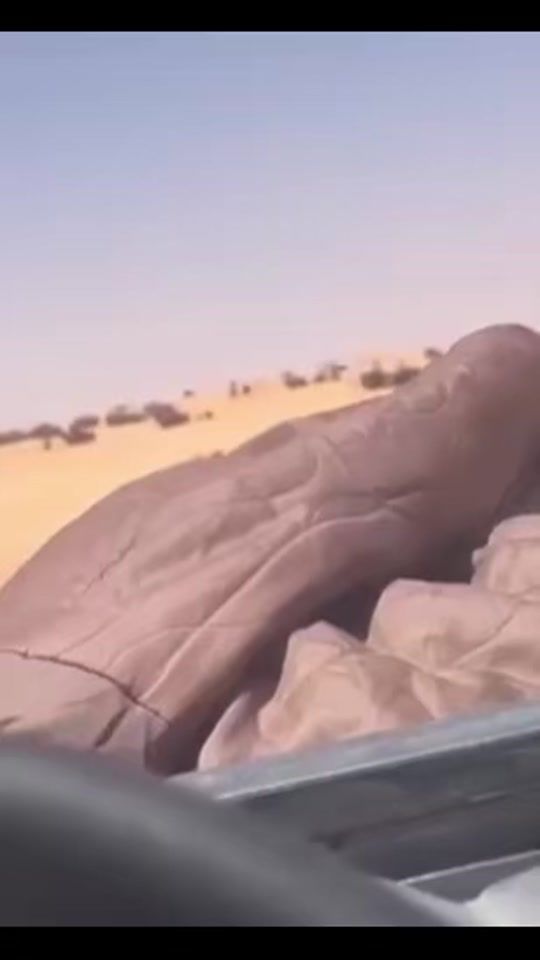 TikTok video thumbnail by user2927486811041