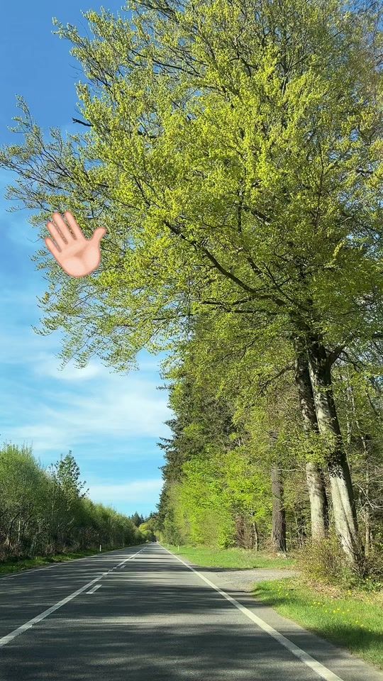 TikTok video thumbnail by neaguioanamonica