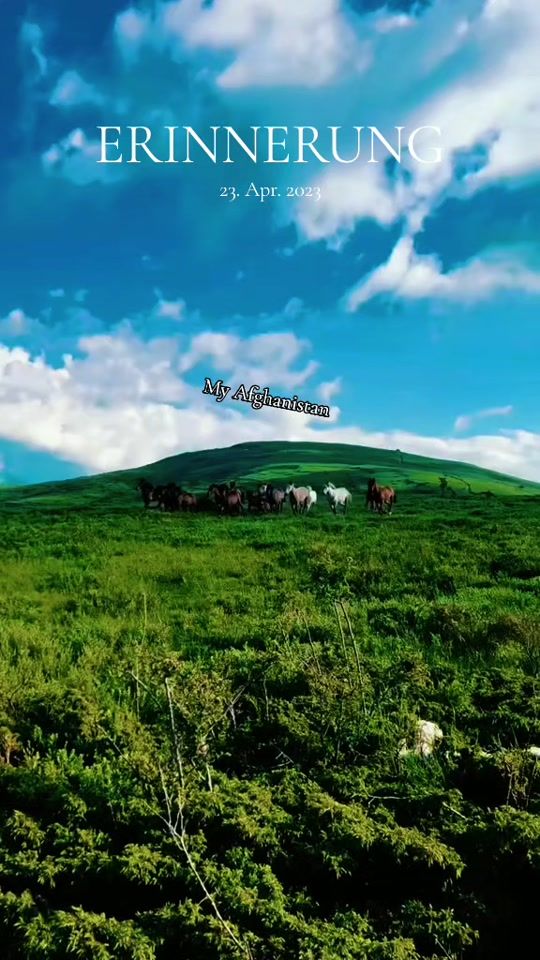 TikTok video thumbnail by my.afghanistan.tv