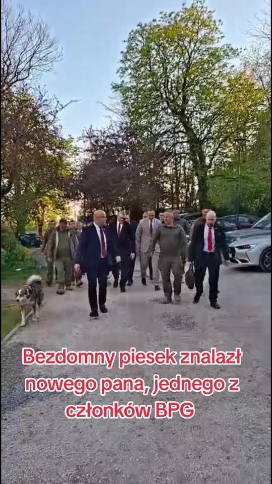 TikTok video thumbnail by life_in_run