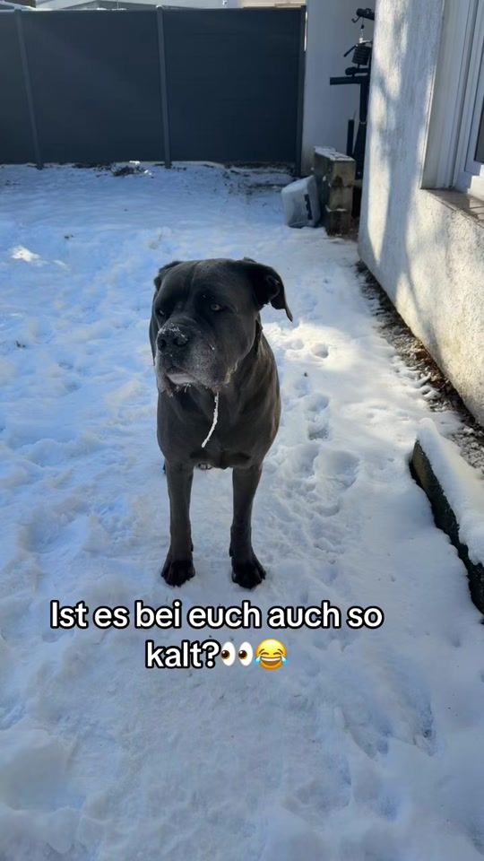 TikTok video thumbnail by luca29.7