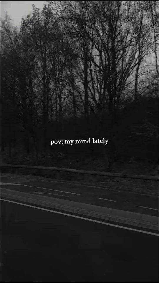 TikTok video thumbnail by w.v.wolf