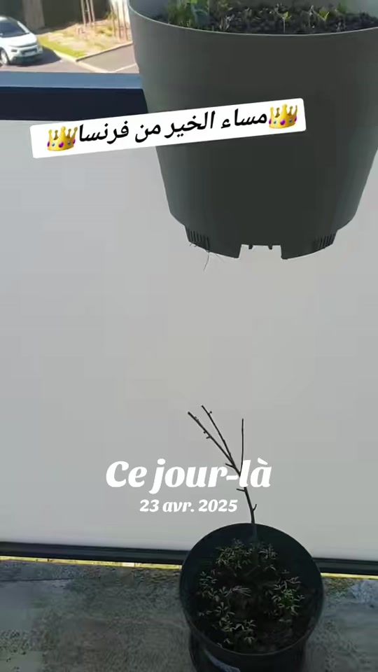 TikTok video thumbnail by mahastar65