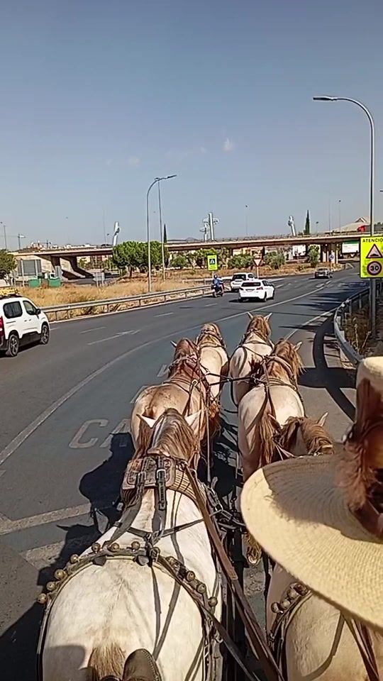 TikTok video thumbnail by eltorerillo0