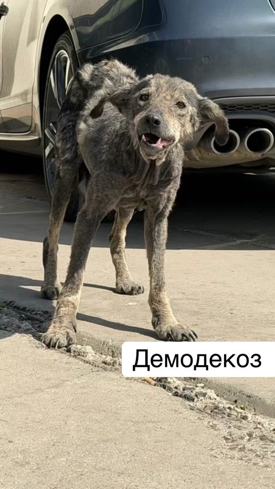TikTok video thumbnail by katyshakoks