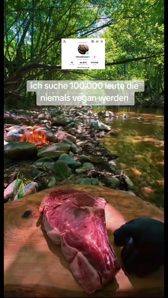 TikTok video thumbnail by fleichfresser01