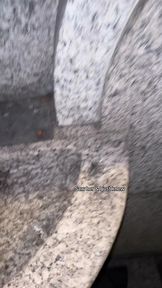TikTok video thumbnail by zionfoster