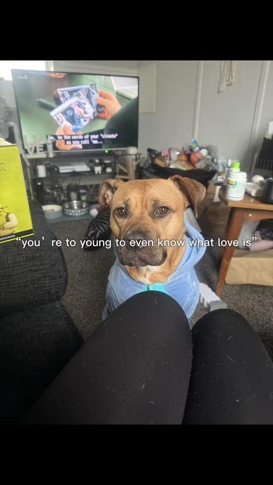 TikTok video thumbnail by jesshargo