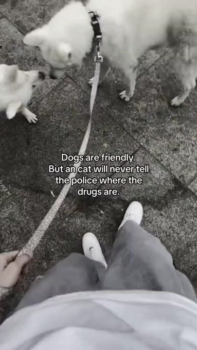 TikTok video thumbnail by ermiir07