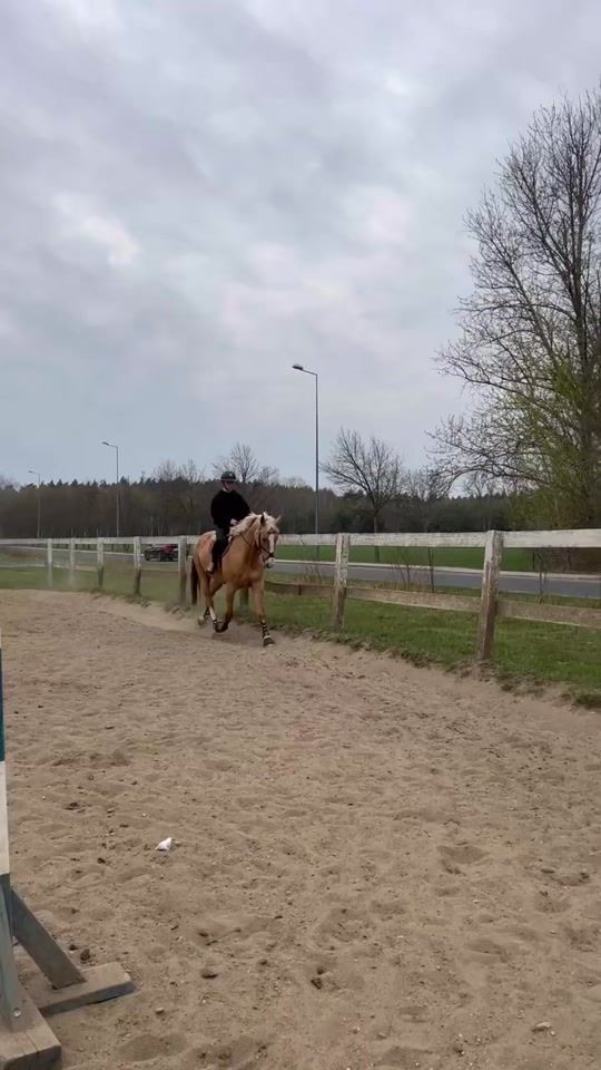 TikTok video thumbnail by drobna.equestrian