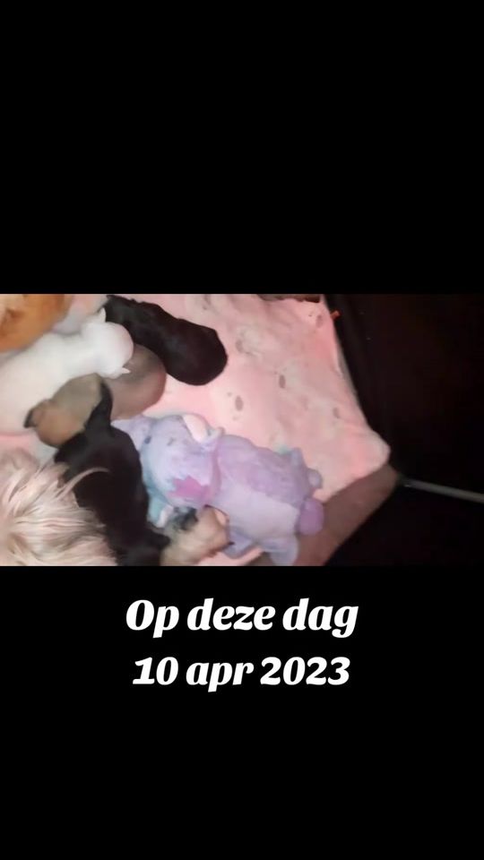 TikTok video thumbnail by chanulleke