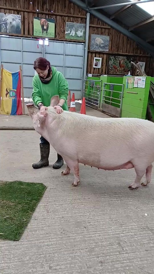 TikTok video thumbnail by lolathepig