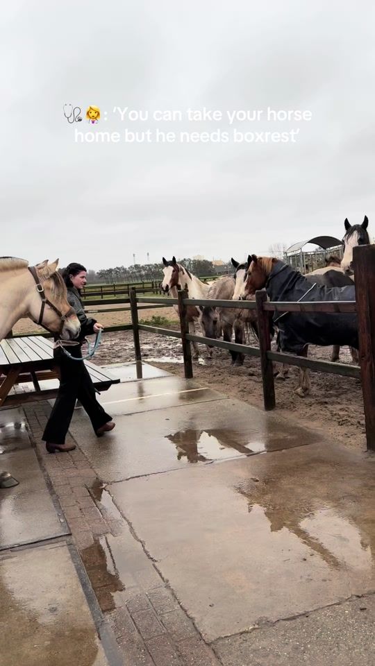 TikTok video thumbnail by diego.marloes