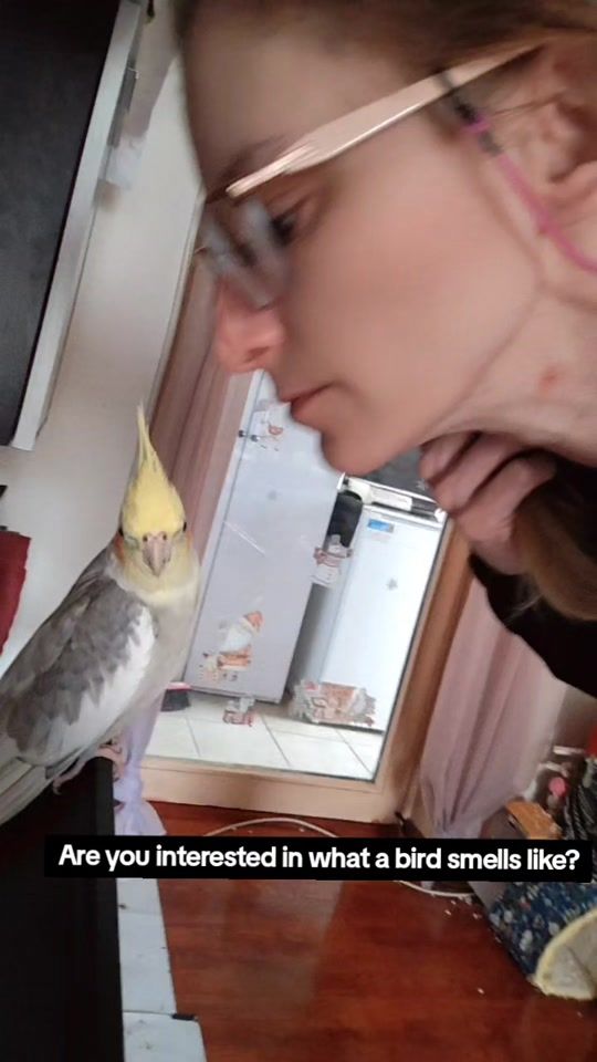 TikTok video thumbnail by pero_pavarotti