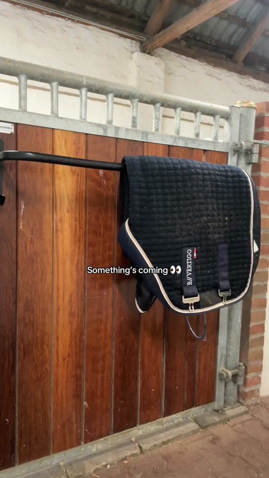 TikTok video thumbnail by horze_official