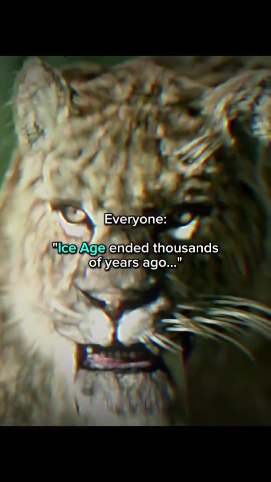 TikTok video thumbnail by prehistoricpath