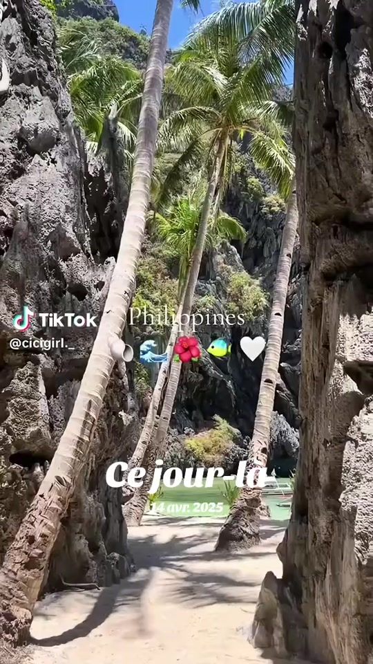 TikTok video thumbnail by mohammedmohamed12403