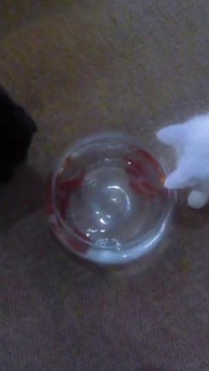TikTok video thumbnail by cat_spiri