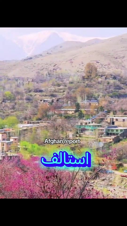 TikTok video thumbnail by afghan_report