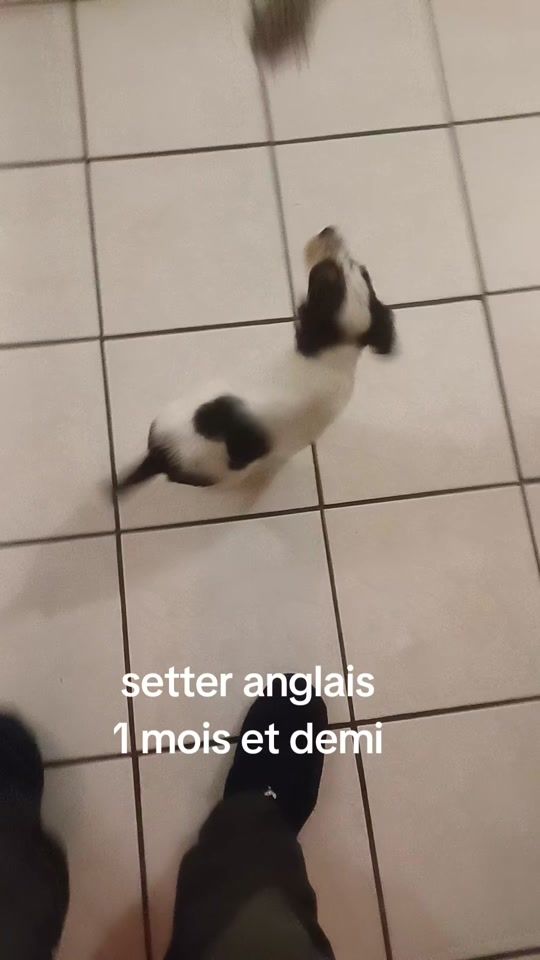 TikTok video thumbnail by ctsluis63140