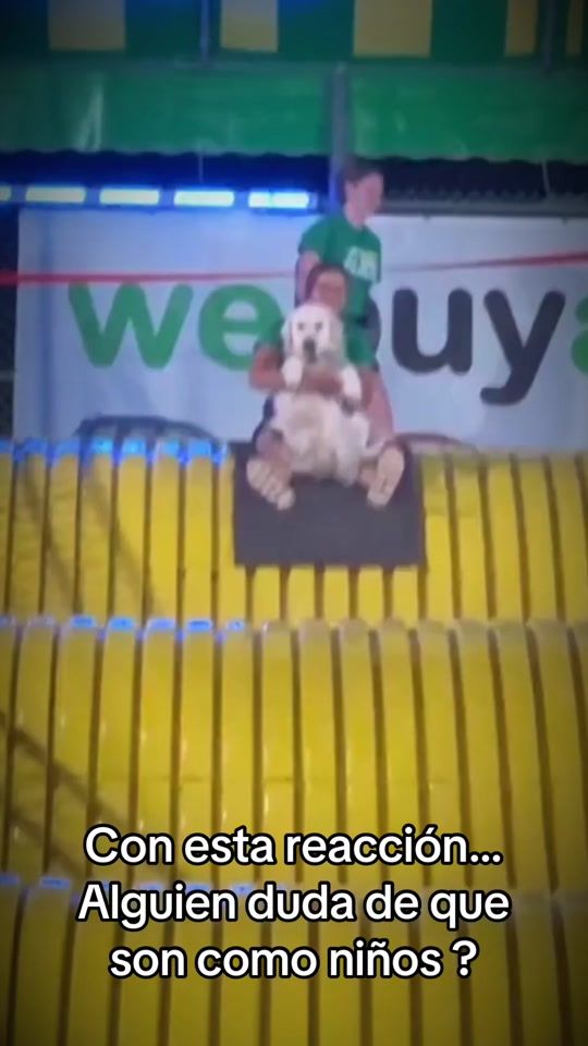 TikTok video thumbnail by digitaltemplar