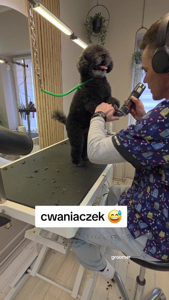 TikTok video thumbnail by pawelgroomer