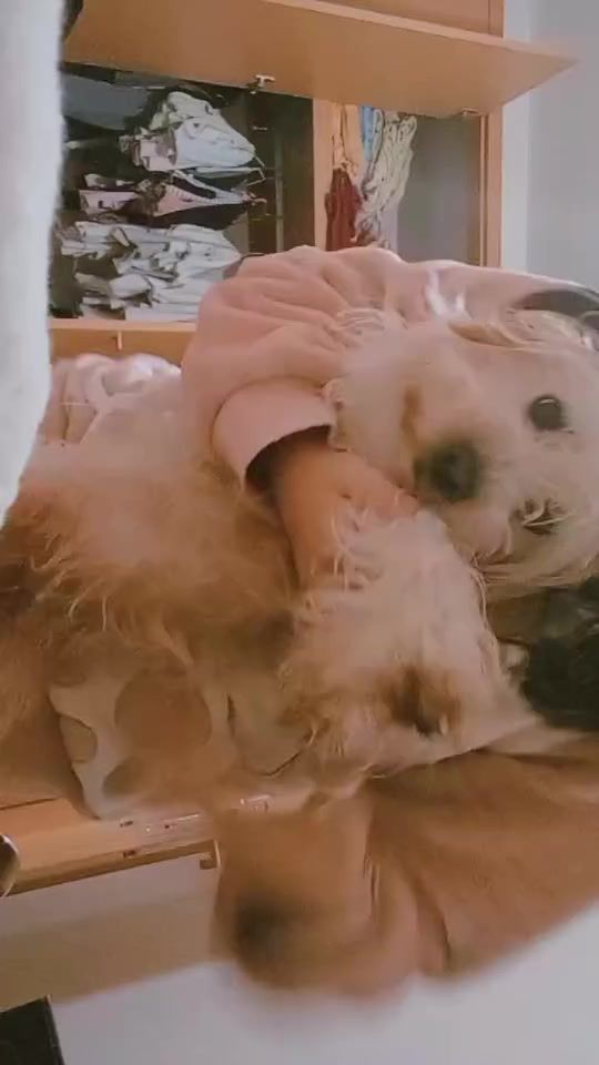TikTok video thumbnail by diaryy.carol