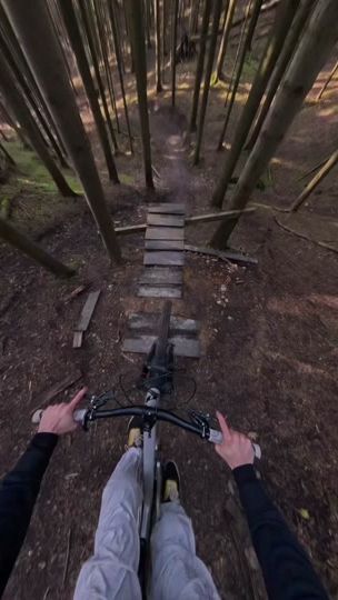 TikTok video thumbnail by jjspiechowicz