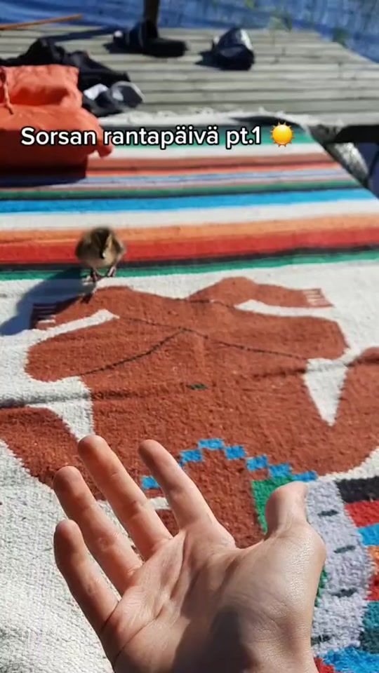 TikTok video thumbnail by suolajone