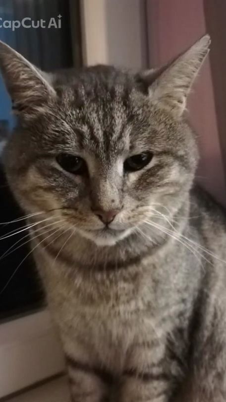 TikTok video thumbnail by nati_dinzzi13