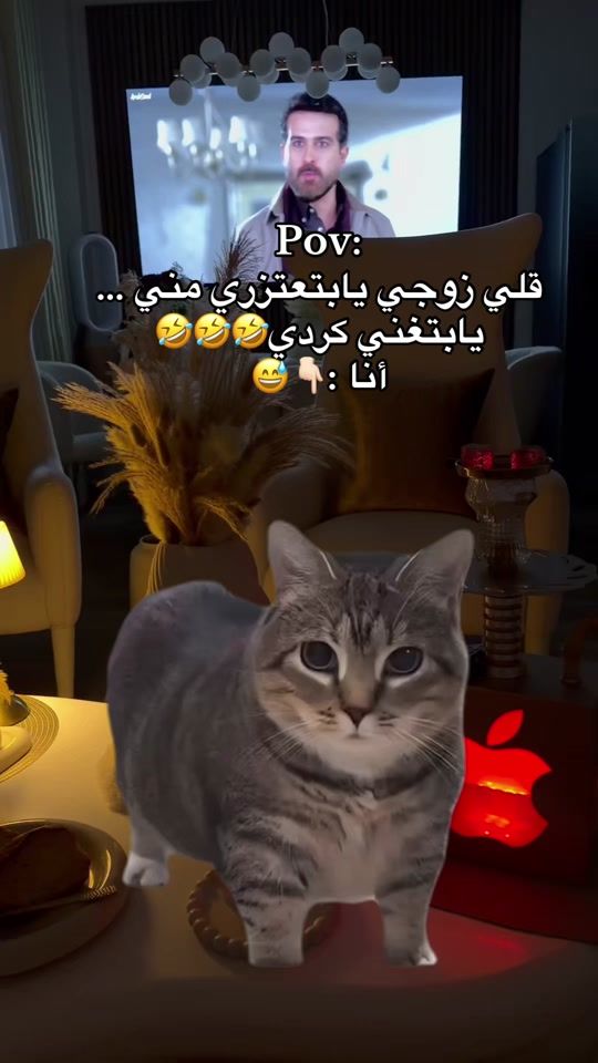 TikTok video thumbnail by marwa_________alfarg