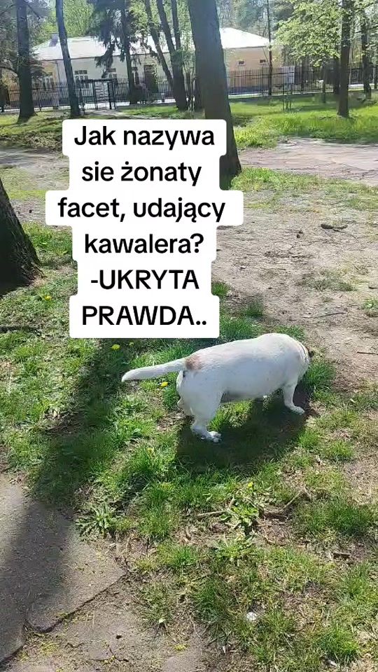 TikTok video thumbnail by ruda_marta