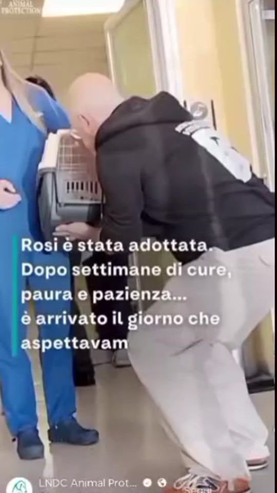 TikTok video thumbnail by limperatrice_sarda