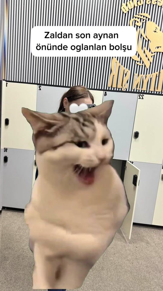 TikTok video thumbnail by barbieee.a04