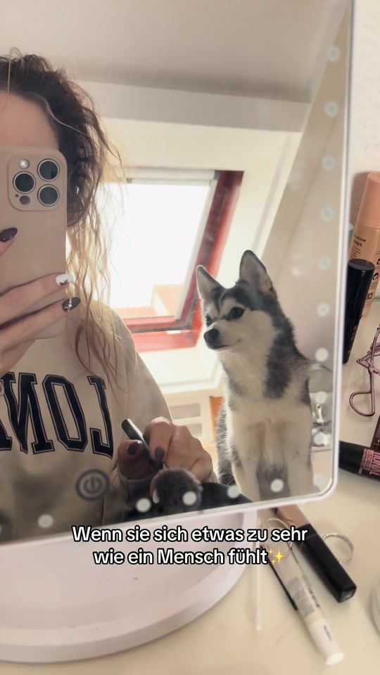 TikTok video thumbnail by calypso.minihusky