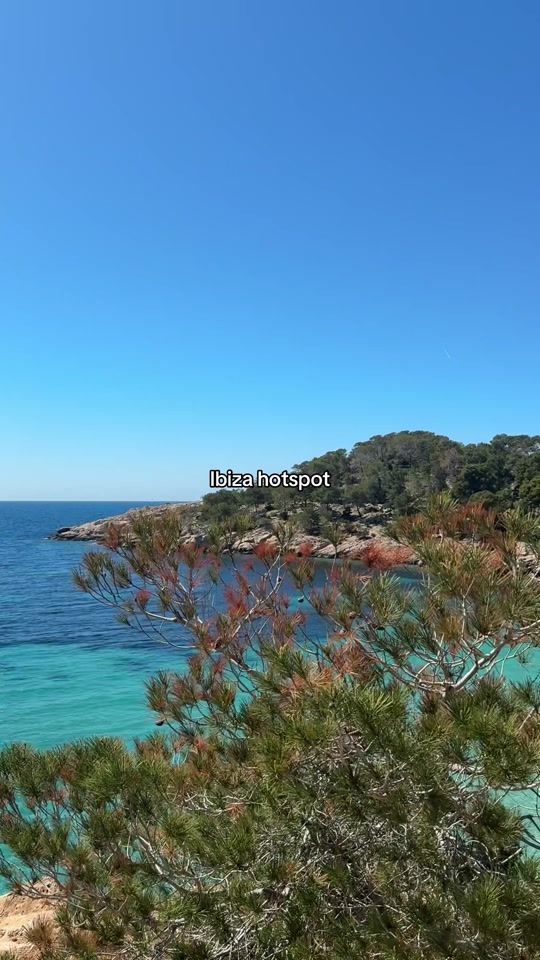 TikTok video thumbnail by melissadoomstx