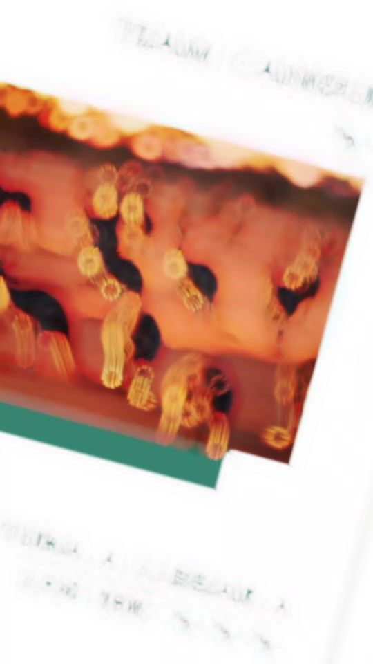 TikTok video thumbnail by yoe3183