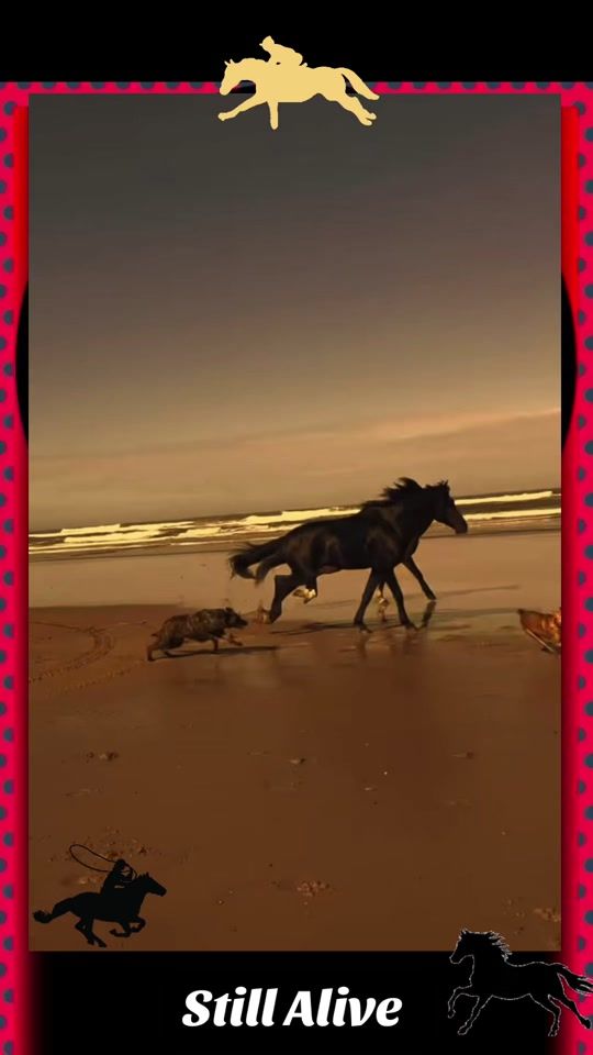 TikTok video thumbnail by stillalive117
