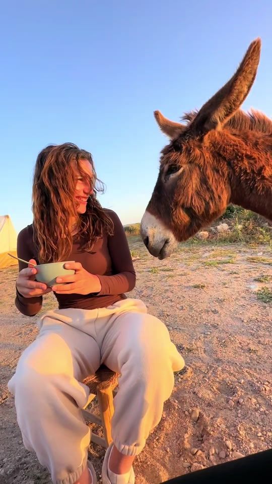 TikTok video thumbnail by dancinghorses_official