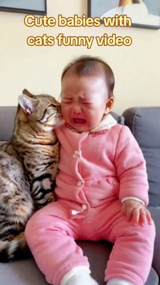TikTok video thumbnail by ali83122lrj