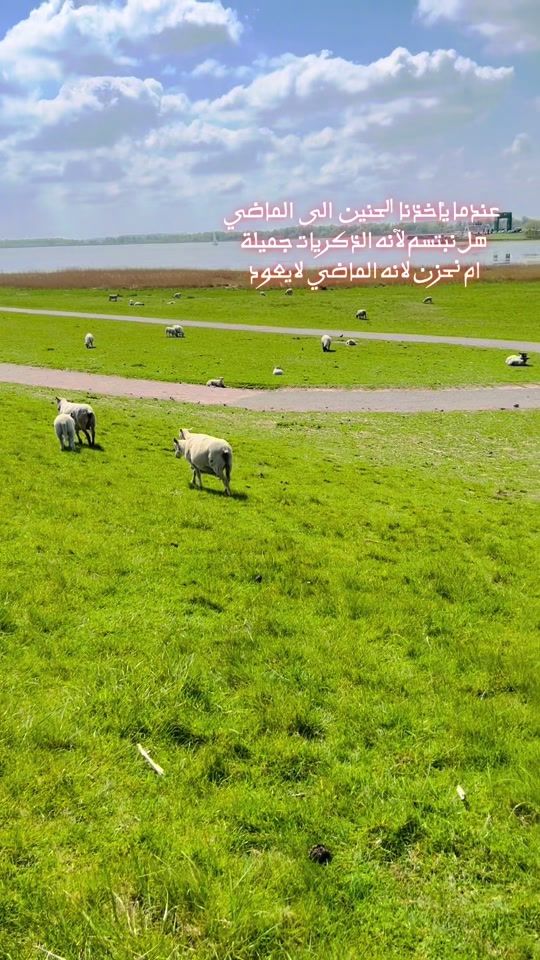 TikTok video thumbnail by saad_altikriti1