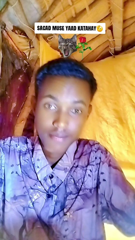 TikTok video thumbnail by dalmaar5