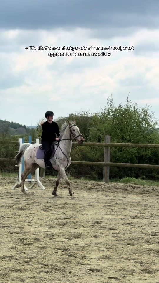 TikTok video thumbnail by t.p_horses