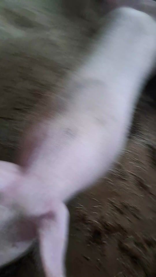TikTok video thumbnail by valentino.crnekov