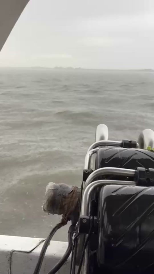 TikTok video thumbnail by marisstellaseafood