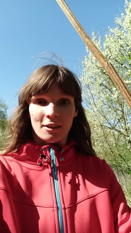 TikTok video thumbnail by dzika.monika5