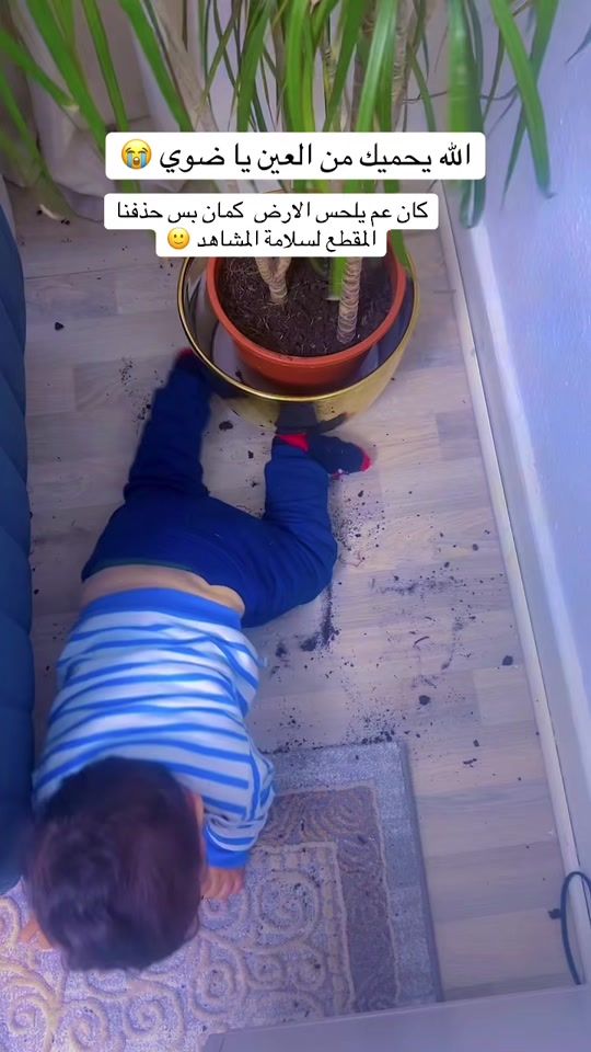 TikTok video thumbnail by lolosham96