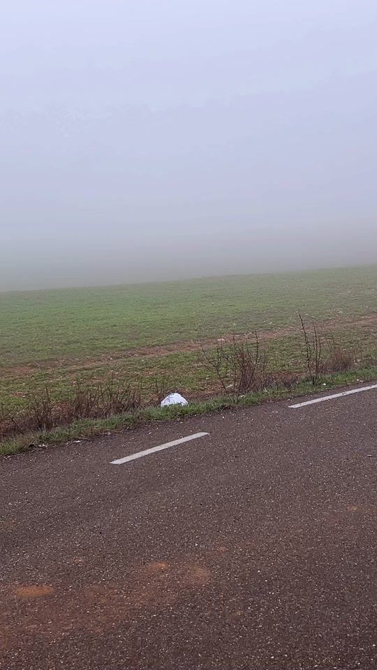 TikTok video thumbnail by david_duval92