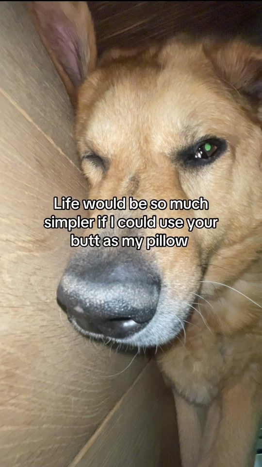 TikTok video thumbnail by neoo911